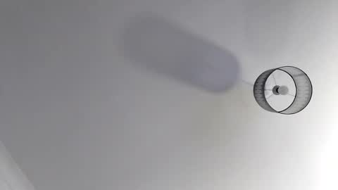 bobby160968 online show from November 19, 7:03 pm