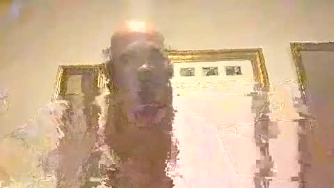 boredaf6678 online show from December 10, 3:08 am