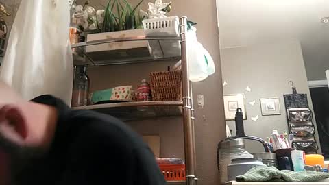 boredaf6678 online show from February 23, 6:01 am