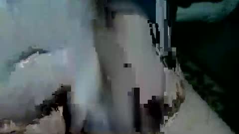 bossram160 online show from December 15, 6:54 am