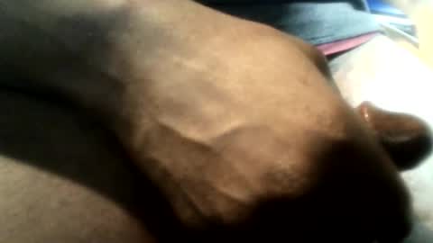 botofogo online show from November 20, 5:40 am