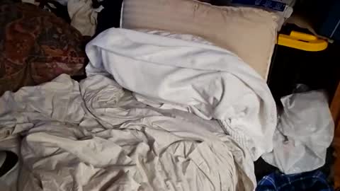 Vivian sometimes  Boyd online show from March 6, 7:22 pm