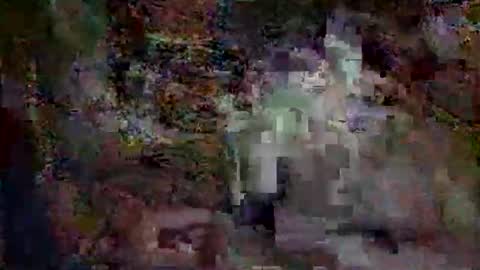 boy_sensu online show from March 15, 4:53 am