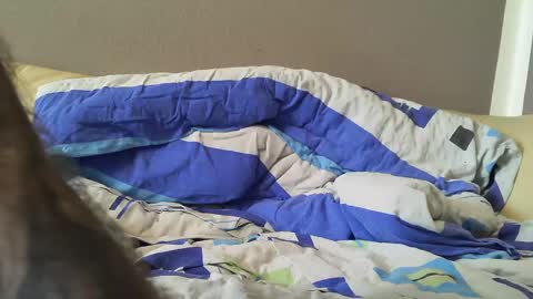 bramer8787 online show from February 1, 9:00 am