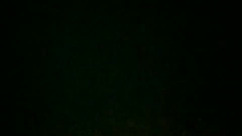 Snapshot of branngnu chatting on September 8, 7:24 pm branngnu online show from September 8, 7:24 pm