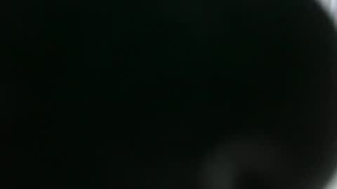 BROOUS online show from November 24, 4:08 pm