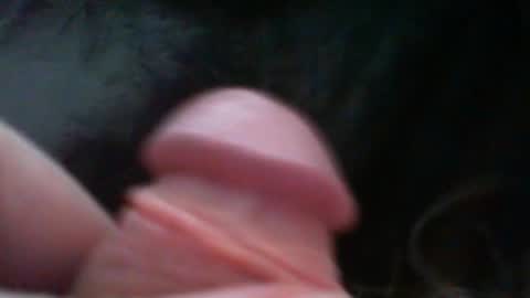 bullemoe online show from February 26, 6:37 am