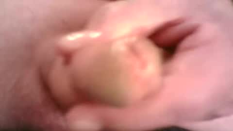 Hamish online show from April 18, 8:31 pm