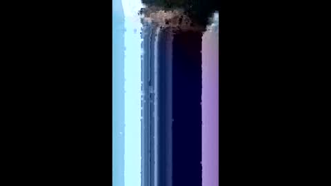 bydsknox online show from March 4, 2:07 am