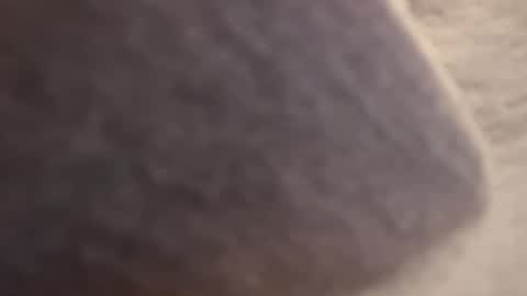 Cactus1041 online show from November 1, 5:55 am