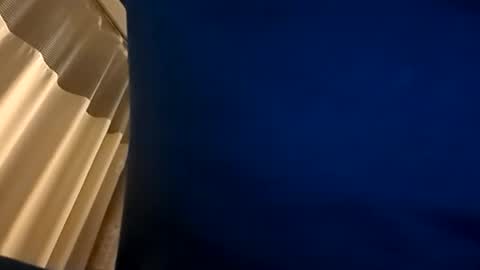 Cactus1041 online show from January 17, 8:39 am