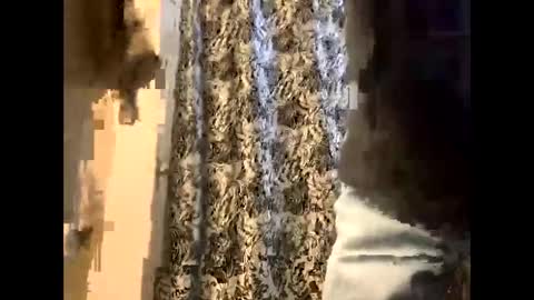 canadianwoody online show from January 1, 7:32 pm