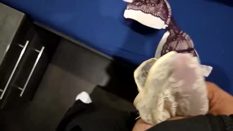 capoo24 online show from October 28, 10:07 am