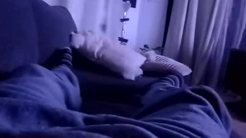 carlitito1 online show from December 25, 5:26 am