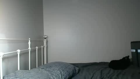 CasinoCam online show from December 23, 6:33 am