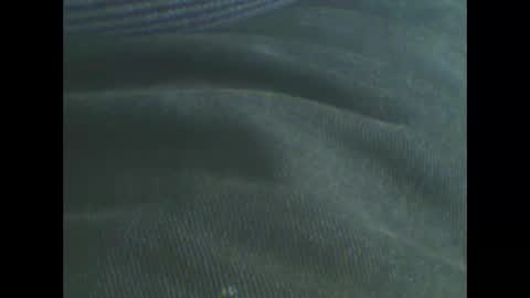 Snapshot of castells chatting on February 21, 11:22 am castells online show from February 21, 11:22 am