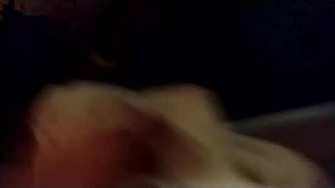 catdaddy179057 online show from October 8, 10:30 am