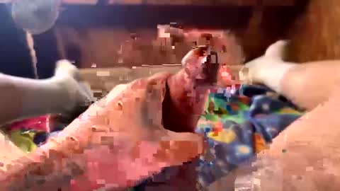 chasepeewee2 online show from February 11, 7:05 pm