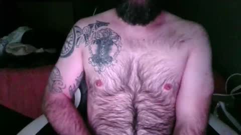 chub bear 99 online show from May 23, 10:54 am