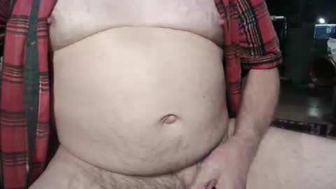 Circus Bear online show from October 24, 5:20 am