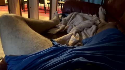 Cjd32 online show from December 13, 9:52 pm