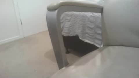 cjmed online show from September 19, 10:04 am