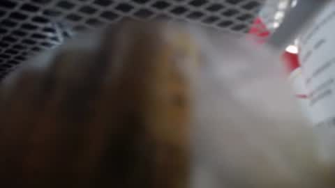 487699 online show from January 14, 9:14 am