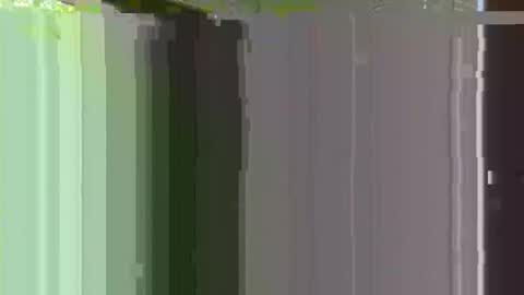 creature272 online show from April 14, 6:57 am