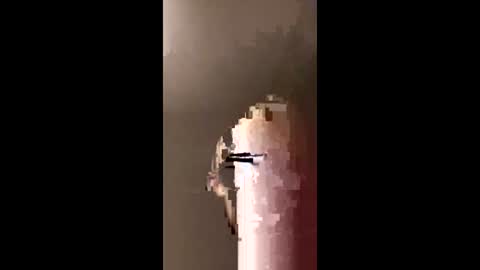 curced25 online show from March 20, 10:24 pm