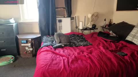 D0pey42O online show from October 11, 12:53 pm