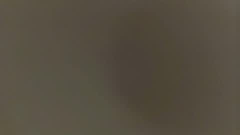 daddybryce0 online show from January 8, 3:56 am