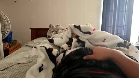 daddydel63 online show from November 23, 3:34 pm