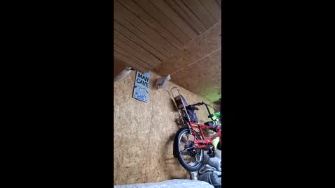 dave online show from April 22, 9:52 pm