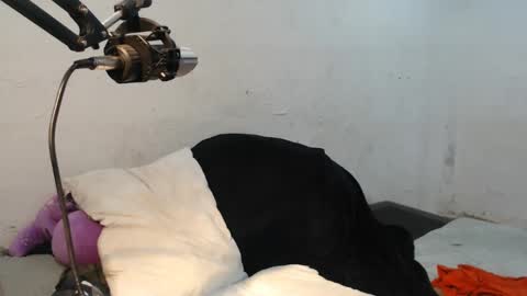 danielitopapii online show from December 13, 6:49 pm