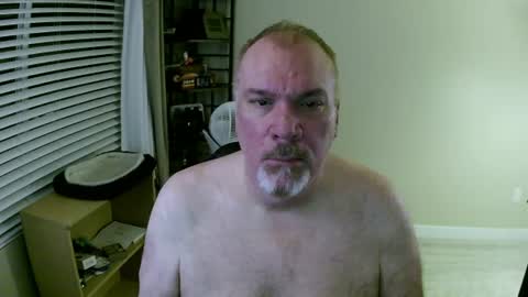 Danny bear online show from August 7, 9:05 am
