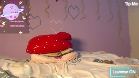 dante_bear online show from January 19, 10:50 am