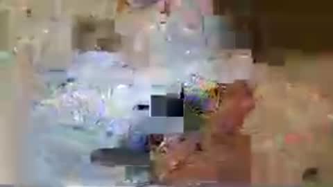 darthhall online show from June 22, 8:46 pm