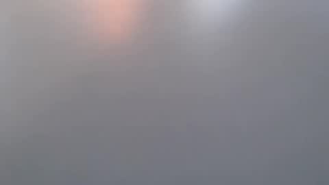 davdao3 online show from March 19, 7:00 am