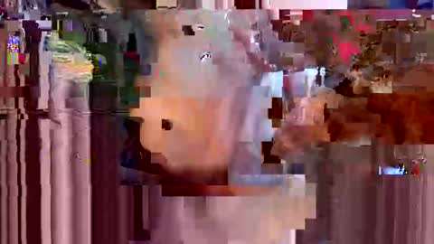 davidmarioslick online show from January 17, 1:46 pm