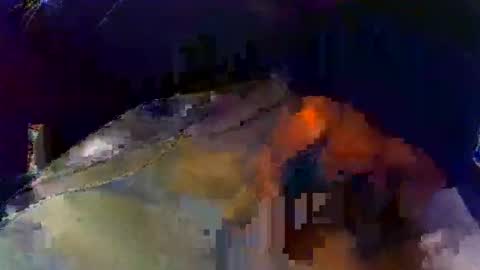 davidneedmore online show from January 15, 10:34 pm