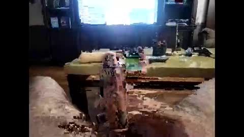 dayuummm1994 online show from April 24, 12:57 am