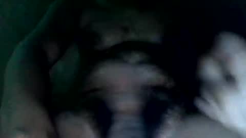 dcockzilla online show from October 21, 11:07 pm