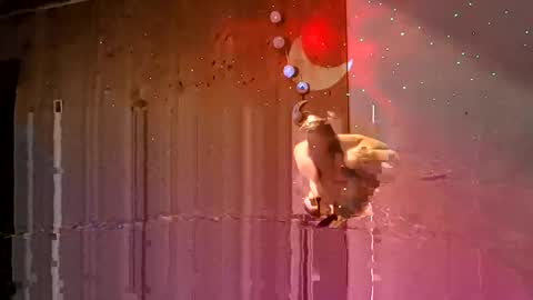 den2807 online show from February 15, 9:29 am