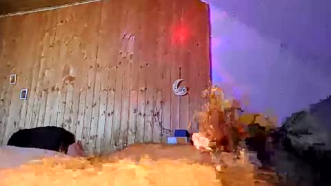 den2807 online show from March 18, 12:30 pm