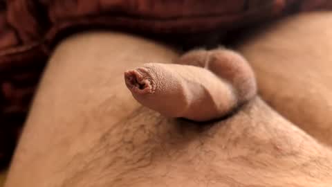 Snapshot of denis647 chatting on March 8, 1:55 pm LilRoach online show from March 8, 1:55 pm