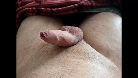 LilRoach online show from February 28, 3:00 pm