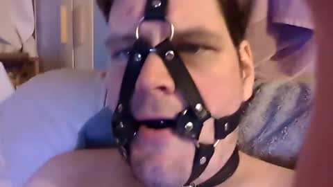 Snapshot of dirtydogsday chatting on February 3, 8:03 pm Dirtydog online show from February 3, 8:03 pm