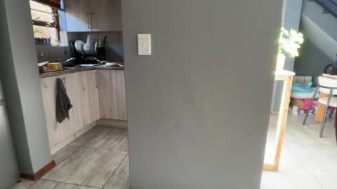 Dmitri online show from April 28, 8:30 am