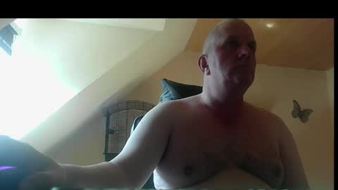 doggy2629 online show from June 3, 3:50 pm