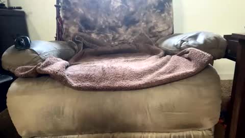 dotcom0062 online show from October 19, 11:19 pm